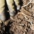 soil improvement