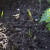 soil types