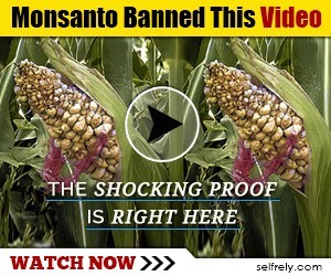 Monsanto-Banned-This-Video-300x250