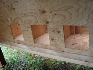 Chicken House Nesting Box Access